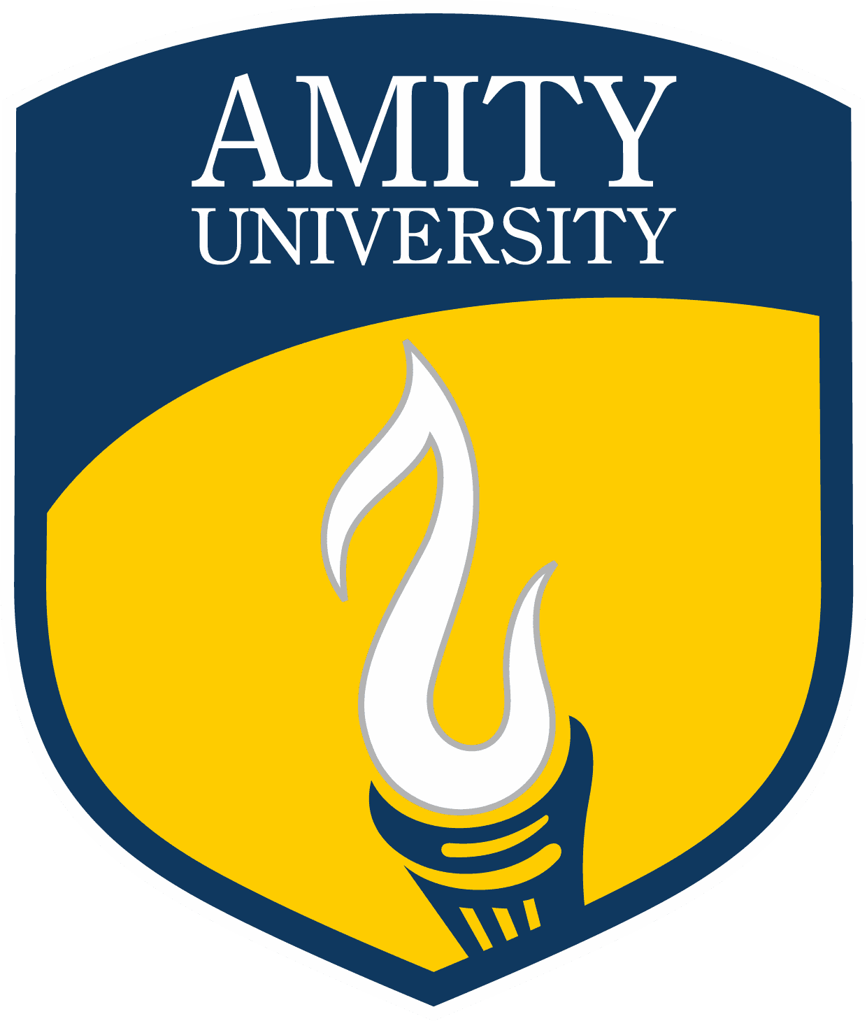 Amity University Online